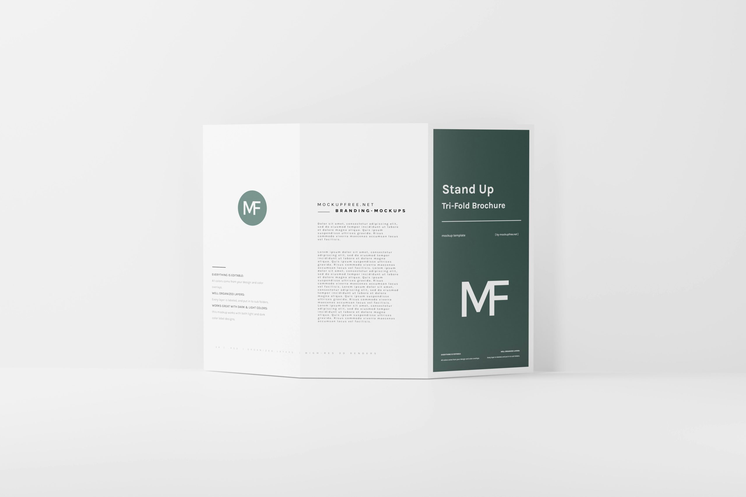 What is a Trifold Brochure 