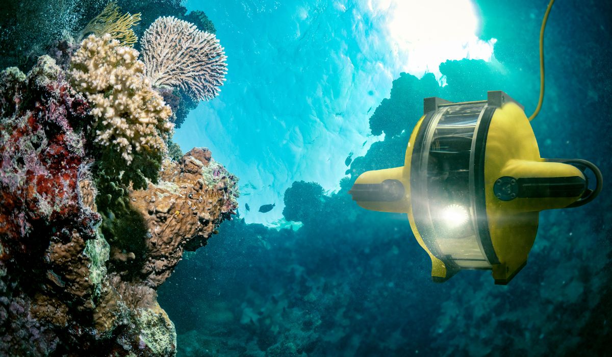 Understanding ROVs and the Importance of Durability